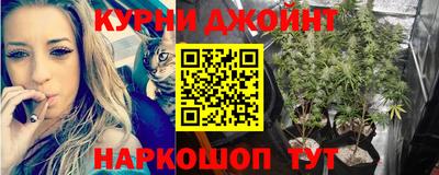 индика Апшеронск