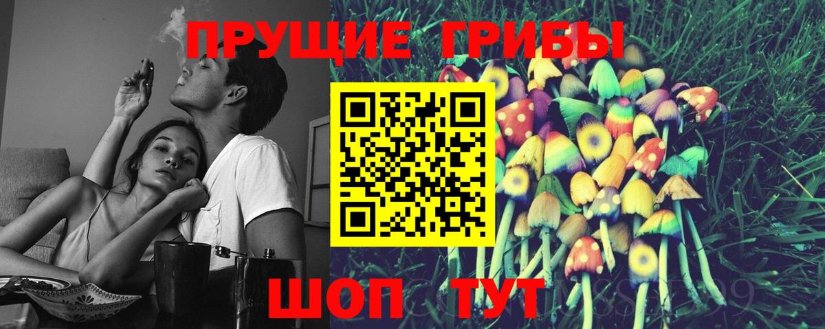 где можно купить   Вход с VPN  Видное  Псилоцибиновые грибы мухоморы 