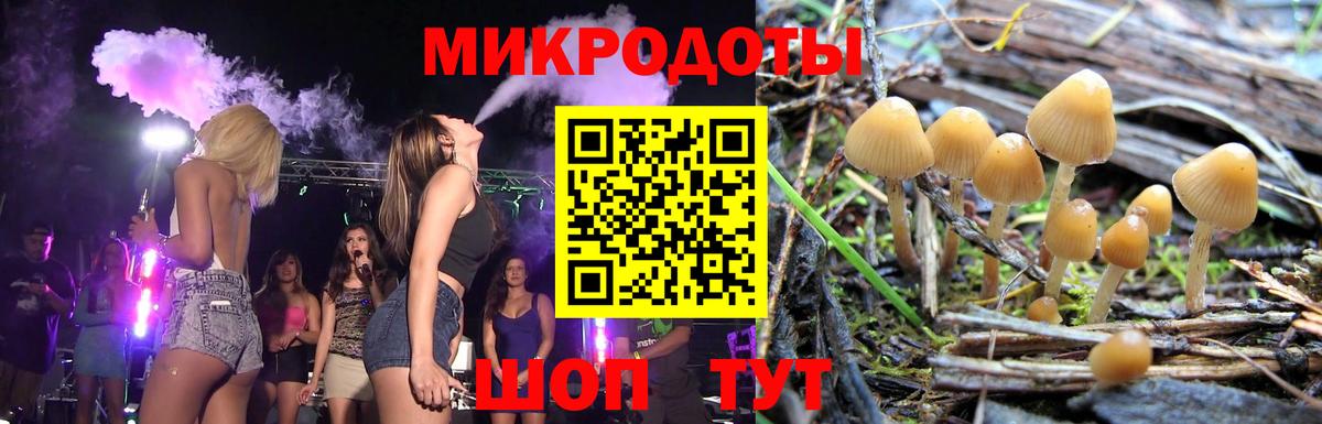 Псилоцибиновые грибы мицелий Видное